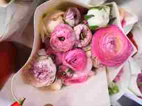 配花-洋牡丹-花边-20枝