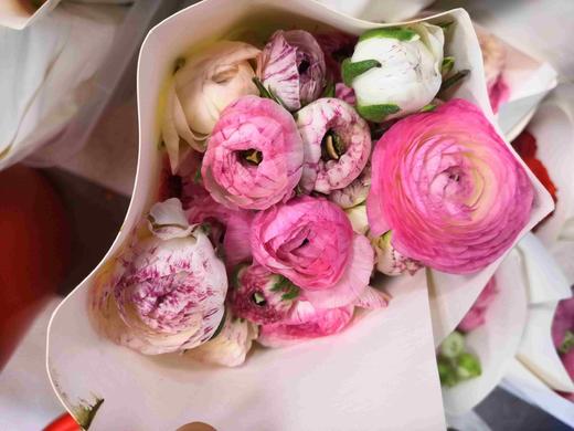 配花-洋牡丹-花边-20枝 商品图0