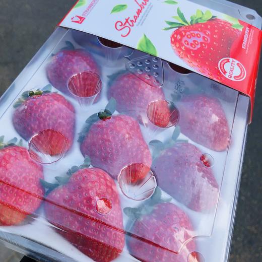 新鲜度差点红颜草莓10块一盒
