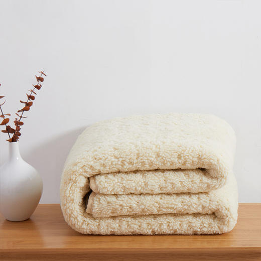  分区控温的羊羔绒电热毯 商品图1