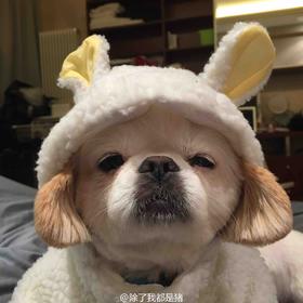 ws实物商品 只支持自提