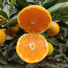 【3斤】新鲜四川汉中蜜桔 重约3斤【2日内提货】 商品缩略图6