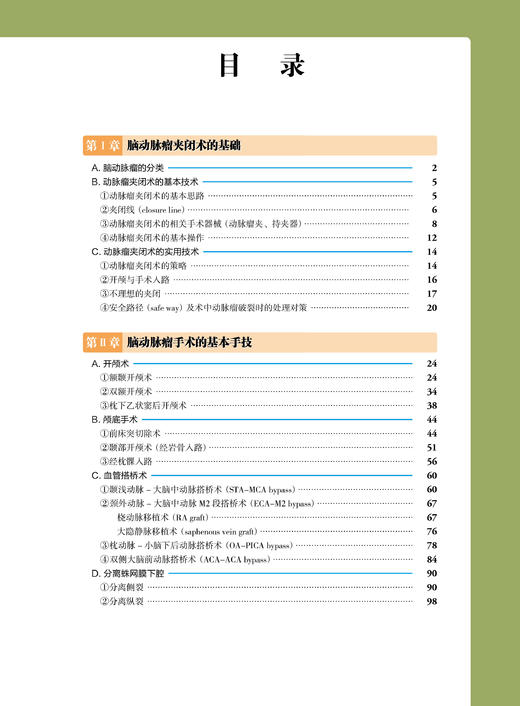 《脑动脉瘤手术——基本技术及实践应用》（日）上山博康 （日）宝金清博 编著 商品图1