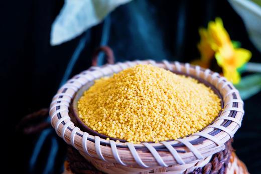 米脂油小米 商品图2