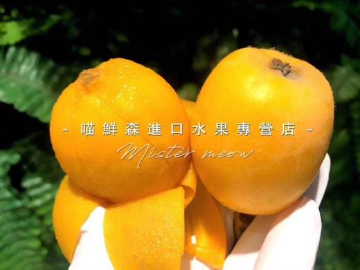 🛵大颗五星甜枇杷（带枝）云南 商品图2