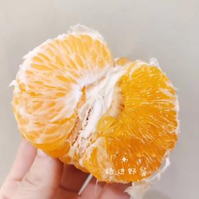 【王者归来】春见粑粑柑 9-10斤左右 行走的果粒橙，果粒爆满，水分好，甜度足