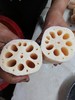 【产地直发  粉糯香】洪湖莲藕 口感粉糯 精选中间藕段发货 炖汤很粉！生鲜产品，人工机器采挖轻微磕伤削掉即可，产地直发每天都是现挖现发，建议收到之后一周内食用最佳哦 商品缩略图0