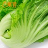 东升农场  芥菜 盖菜  广州蔬菜新鲜配送300G 商品缩略图2