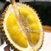 D197正宗猫山王榴莲马来西亚液氮进口AA级（4斤一枚包5房）发全国 商品缩略图0