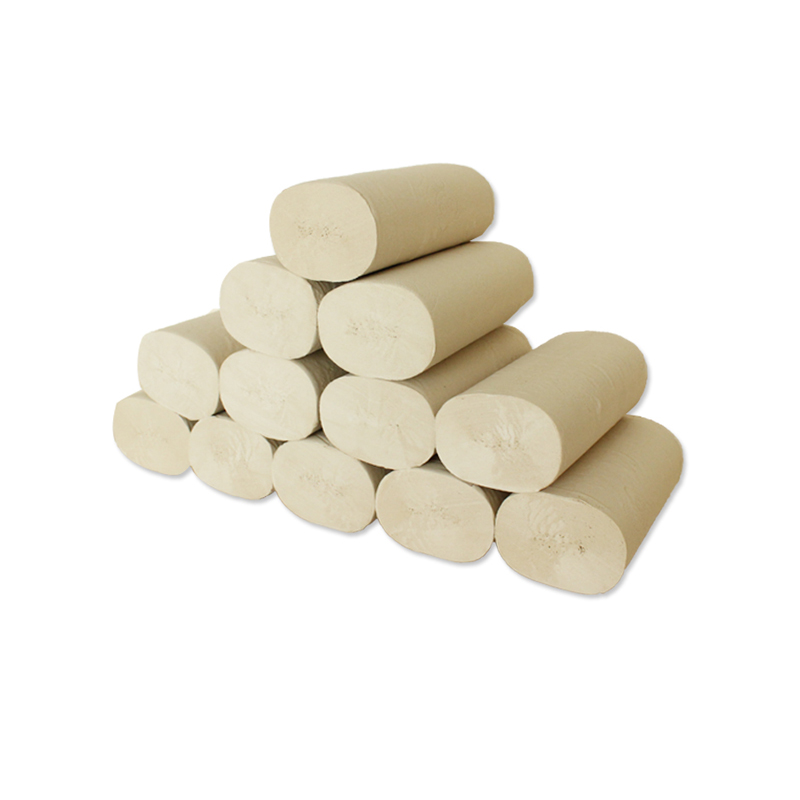竹蜻蜓竹纤维竹浆本色卫生纸无芯卷纸720g/提JPY带授权招加盟代理