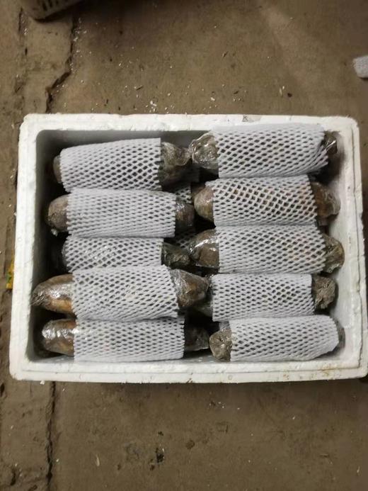 【产地直发  粉糯香】洪湖莲藕 口感粉糯 精选中间藕段发货 炖汤很粉！生鲜产品，人工机器采挖轻微磕伤削掉即可，产地直发每天都是现挖现发，建议收到之后一周内食用最佳哦 商品图4