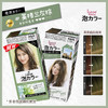 日本花王liese莉婕Prettia泡沫染发剂 颜色备注 商品缩略图1