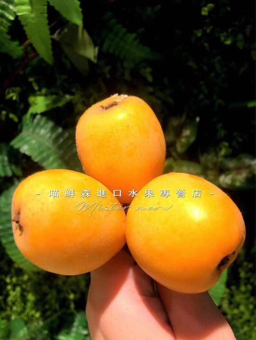 🛵大颗五星甜枇杷（带枝）云南 商品图3