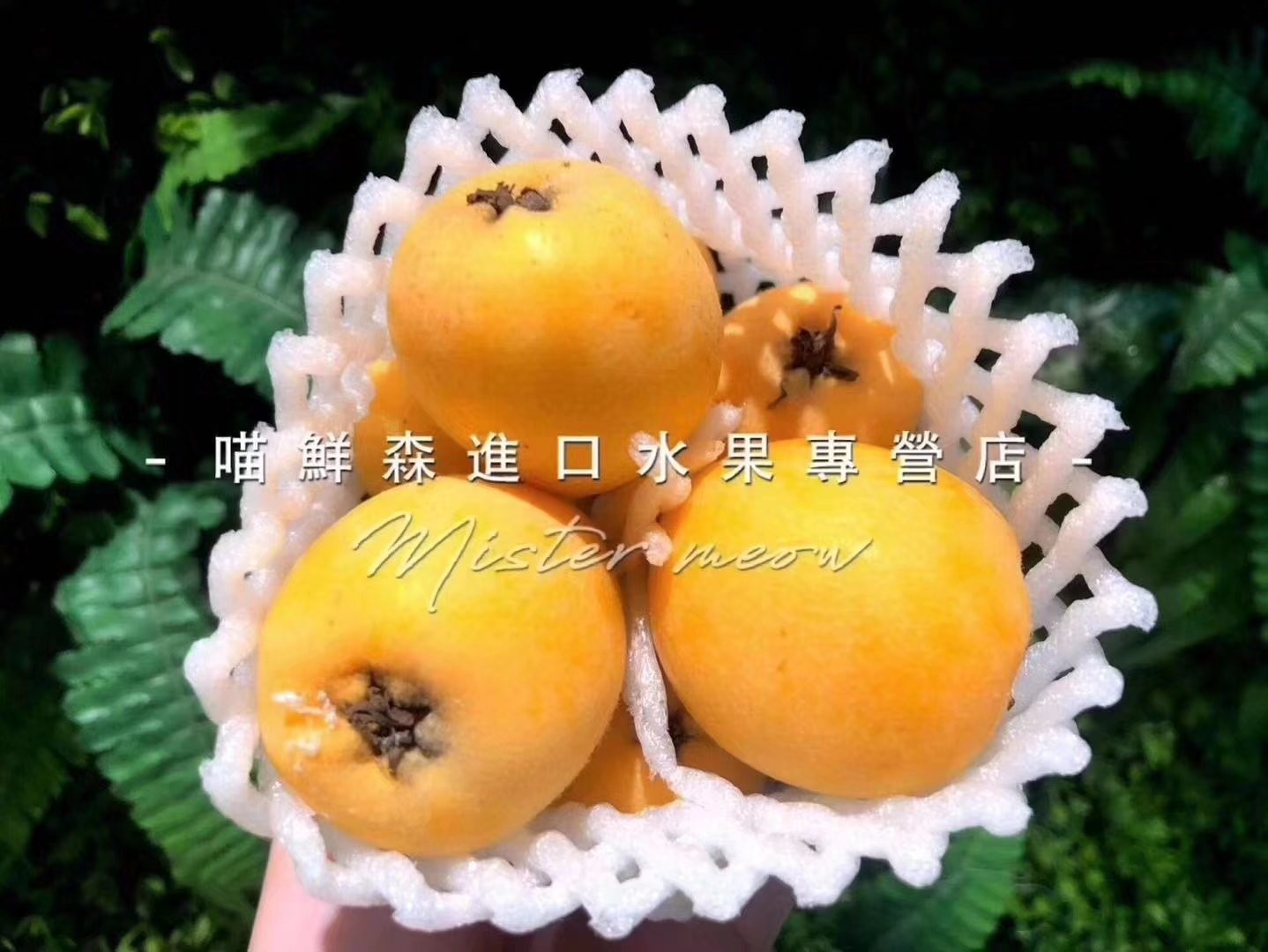 🛵大颗五星甜枇杷（带枝）云南