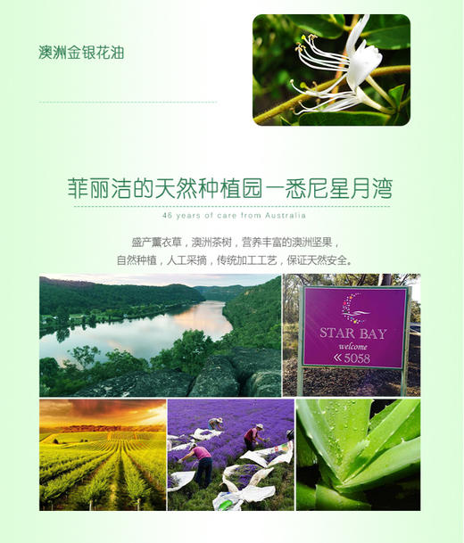 菲丽洁艾草花露水喷雾婴幼儿防蚊100ml 商品图4