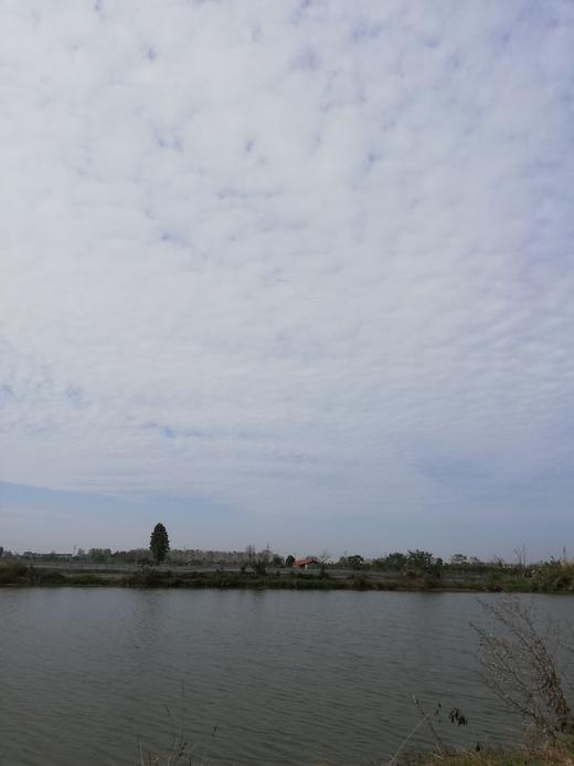 【产地直发  粉糯香】洪湖莲藕 口感粉糯 精选中间藕段发货 炖汤很粉！生鲜产品，人工机器采挖轻微磕伤削掉即可，产地直发每天都是现挖现发，建议收到之后一周内食用最佳哦 商品图7