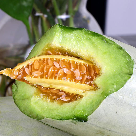 【山东·寿光】头茬羊角蜜 甜瓜 香脆瓜 甜瓜 香瓜  新鲜水果 生鲜香甜可口 山东特产 商品图3