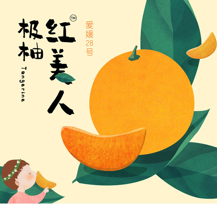 极柚红美人912粒装共约45斤入口即化柔软无渣爱媛28号