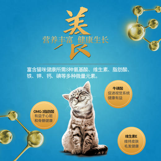 金赏海鲜煲汤罐猫罐头80g*12罐 商品图6