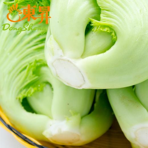 东升农场芥菜盖菜广州蔬菜新鲜配送300g