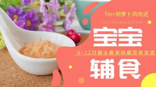 7m+ 胡萝卜鸡肉泥 商品图0