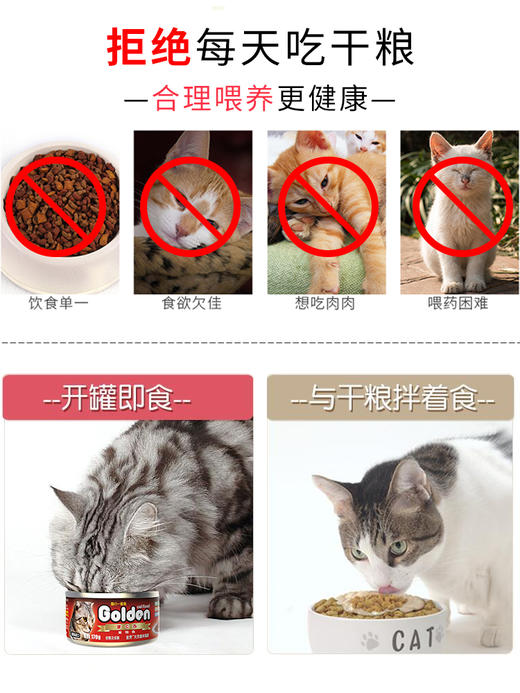 金赏金枪鱼系列红肉猫罐头170g*24罐 商品图2