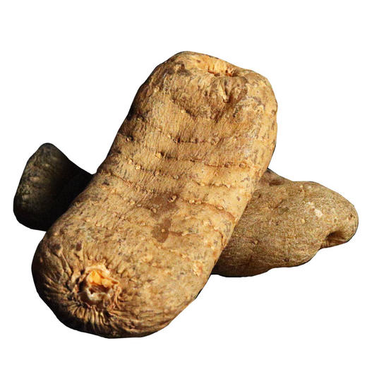 【药食同源】天麻  云南昭通小草坝 250克 T级可代切片打粉 商品图4