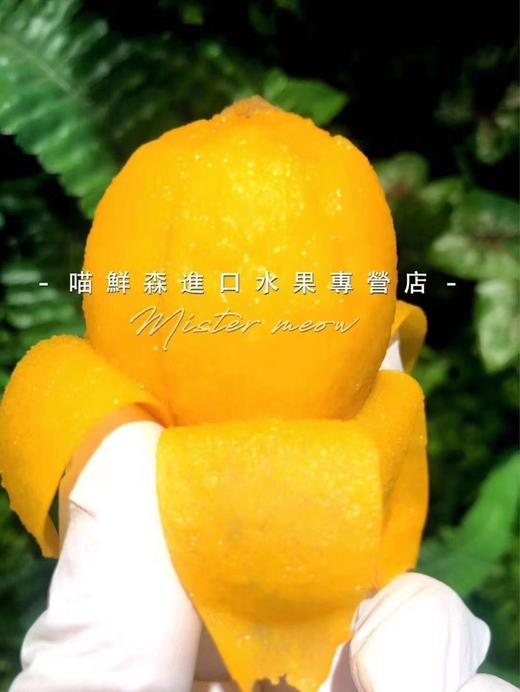 🛵大颗五星甜枇杷（带枝）云南 商品图4