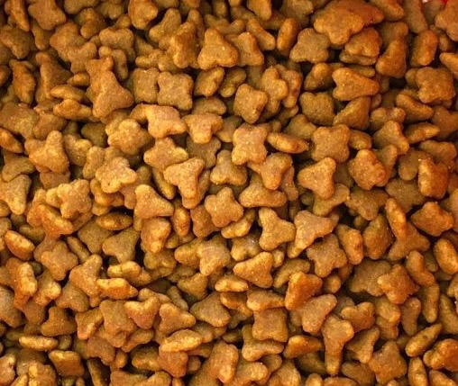 猫粮（随机发） 商品图1