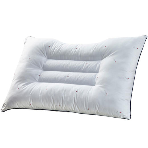 远梦抗菌防螨荞麦枕 商品图1