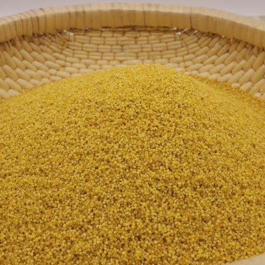太行山石磨黄小米 /黑小米5斤装 商品图4