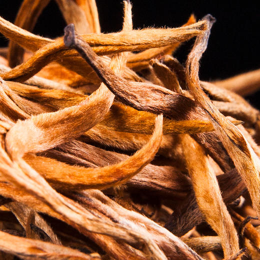 2026滇红茶大金芽吉顺号新品红茶云南凤庆滇红散茶叶500g 商品图3