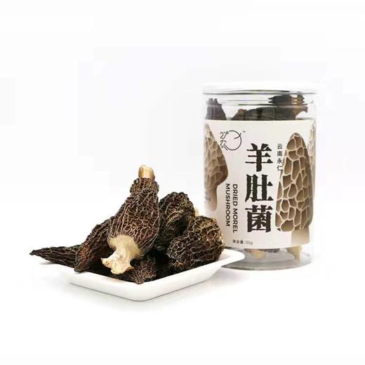 27°农羊肚菌 30g/罐 商品图3