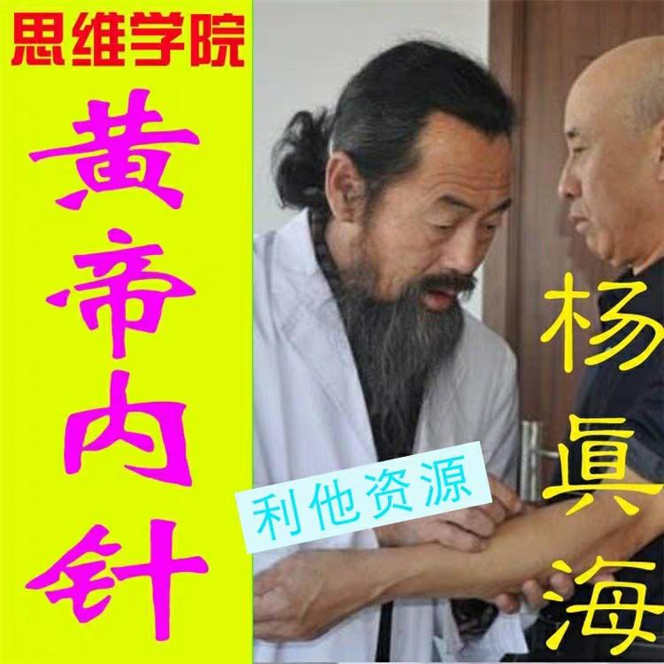 杨传海《黄帝内针》教学视频 杨真海讲黄帝内针455分钟视频 刘力红