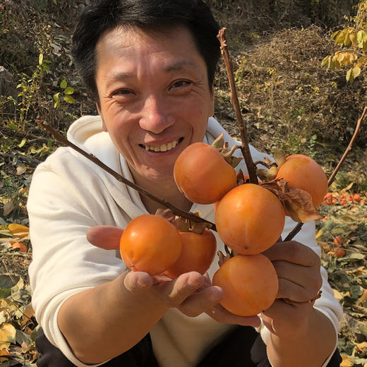 物本源·2025 微霜流心柿饼 预售 商品图2