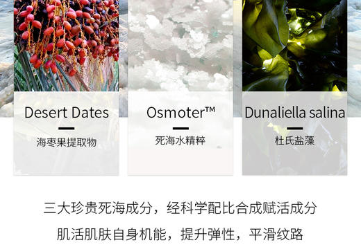 AHAVA 死海赋活保湿面膜 30ML*4PCSJPY带授权招加盟代理 商品图5