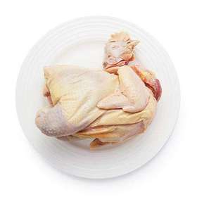 皖北 农家散养郭大村两年老母鸡