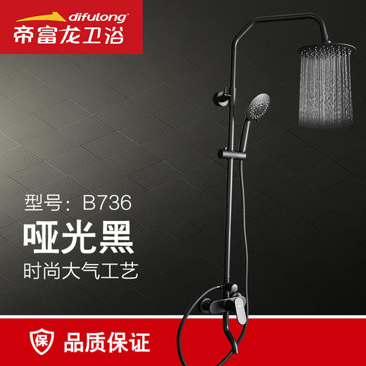 帝富龙 大花洒 B736黑 三出水 商品图0