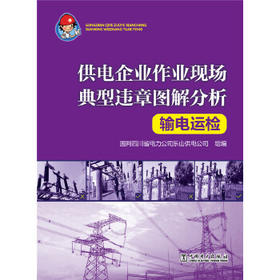 供电企业作业现场典型违章图解分析 输电运检