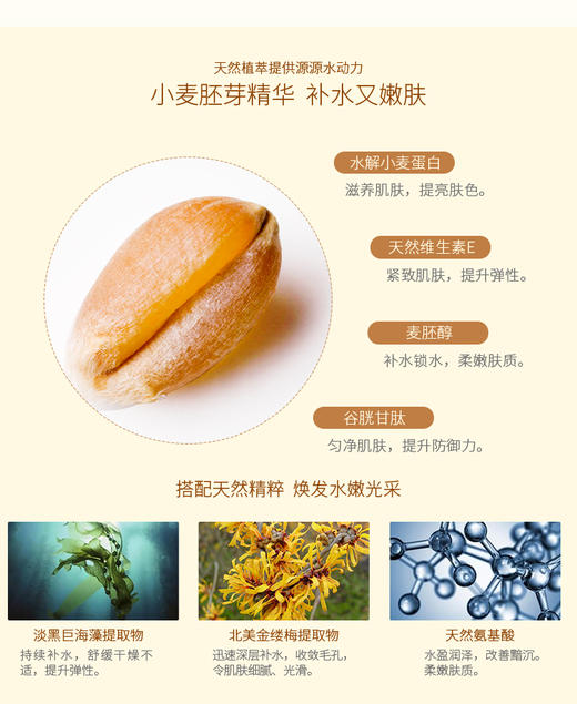 袋鼠妈妈小麦孕妇护肤品JPY带授权招加盟代理 商品图5