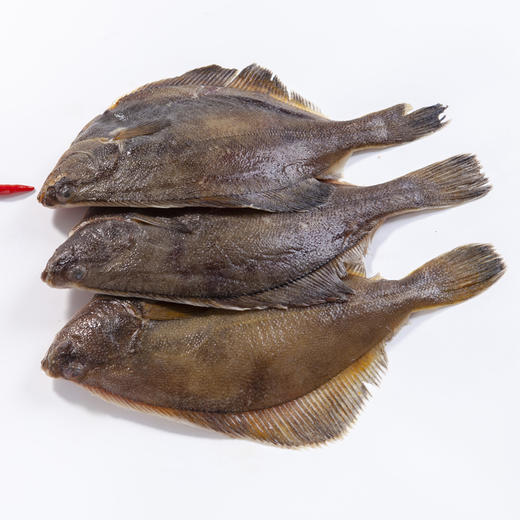 ysd鲽鱼比目鱼深海鱼500g