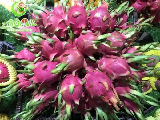 精品白心火龙果 商品图0