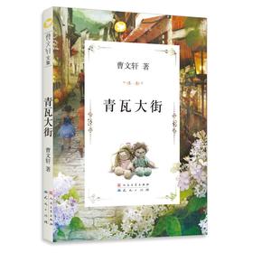 曹文轩文集：青瓦大街