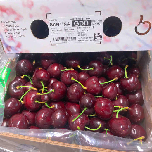 智利空运3jjj超大加黑车厘子santina每箱5斤礼盒