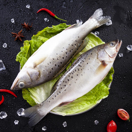 ysd开背鲈鱼深海鱼1斤