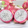 精品白心火龙果 商品缩略图1