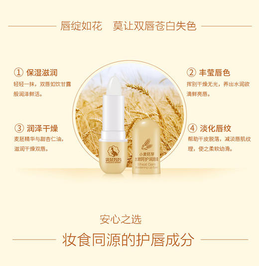 袋鼠妈妈水嫩呵护润唇膏孕妇唇膏JPY带授权招加盟代理 商品图3