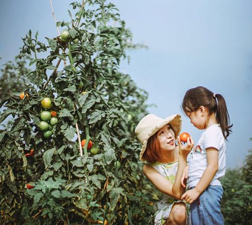 团建会议、婚礼策划、活动订制 Book your own party, meeting or wedding 商品图5