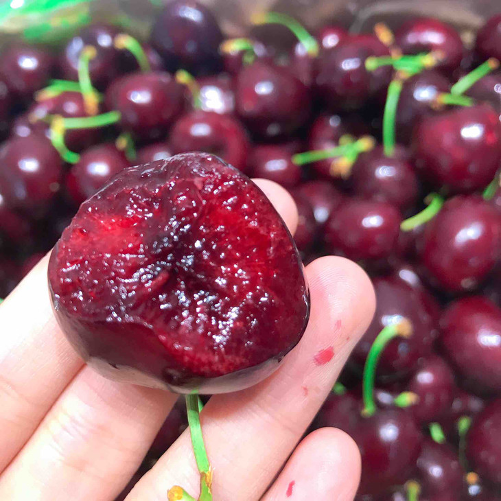 智利空运3jjj超大加黑车厘子santina每箱5斤礼盒