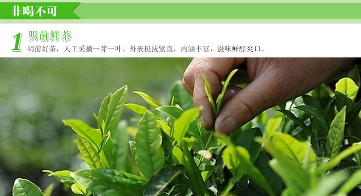 2022新茶重庆茶业巴南银针80g高山绿茶叶新茶明前春礼品茶新茶包邮